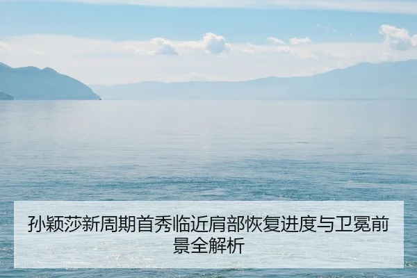 孙颖莎新周期首秀临近肩部恢复进度与卫冕前景全解析
